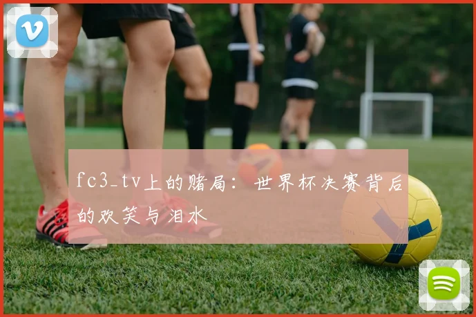 fc3_tv上的赌局：世界杯决赛背后的欢笑与泪水
